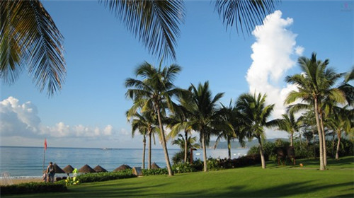 众高品记土豆粉