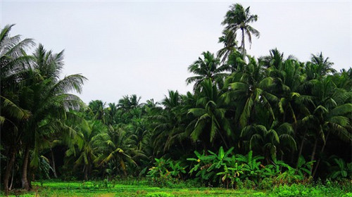 舒兰市开店创业2025钻石加盟店哪些品牌比较火，舒兰加盟费用多少钱