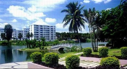 住楼的小游戏叫什么（住楼的小游戏叫什么名字）