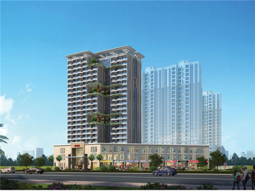 今年春节回家带什么字好（春节回家要带什么）