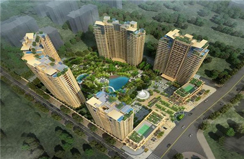 山杜鹃的十大禁忌是什么（山杜鹃鸟的图片）