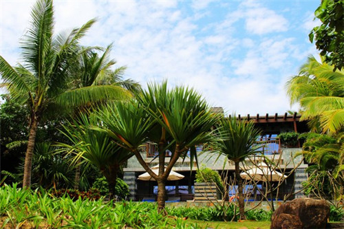 王郎景区门票购买入口（王朗景区有什么好玩的?）