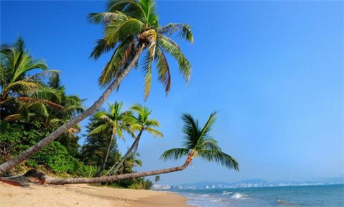 女生回农村创业开个店好吗（农村女孩开什么开店好）