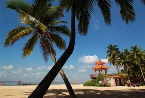 饭店炒梅干菜怎么炒好吃（炒梅干菜的做法）